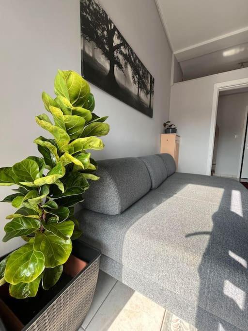 Maria'S Sunlit Apartment Piraeus Ngoại thất bức ảnh